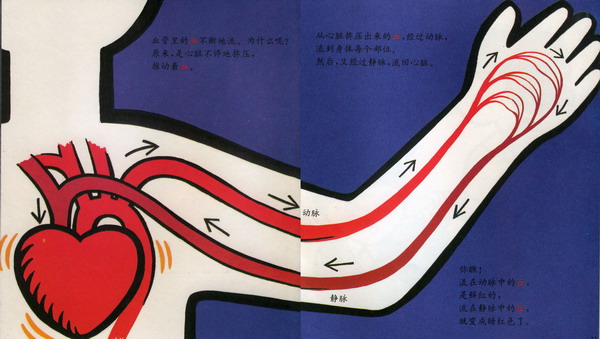 血的故事 (07),绘本,绘本故事,绘本阅读,故事书,童书,图画书,课外阅读